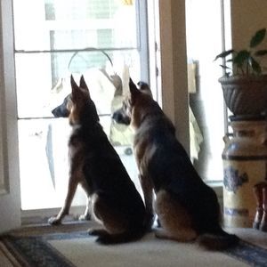 Meet your Posher, Pam